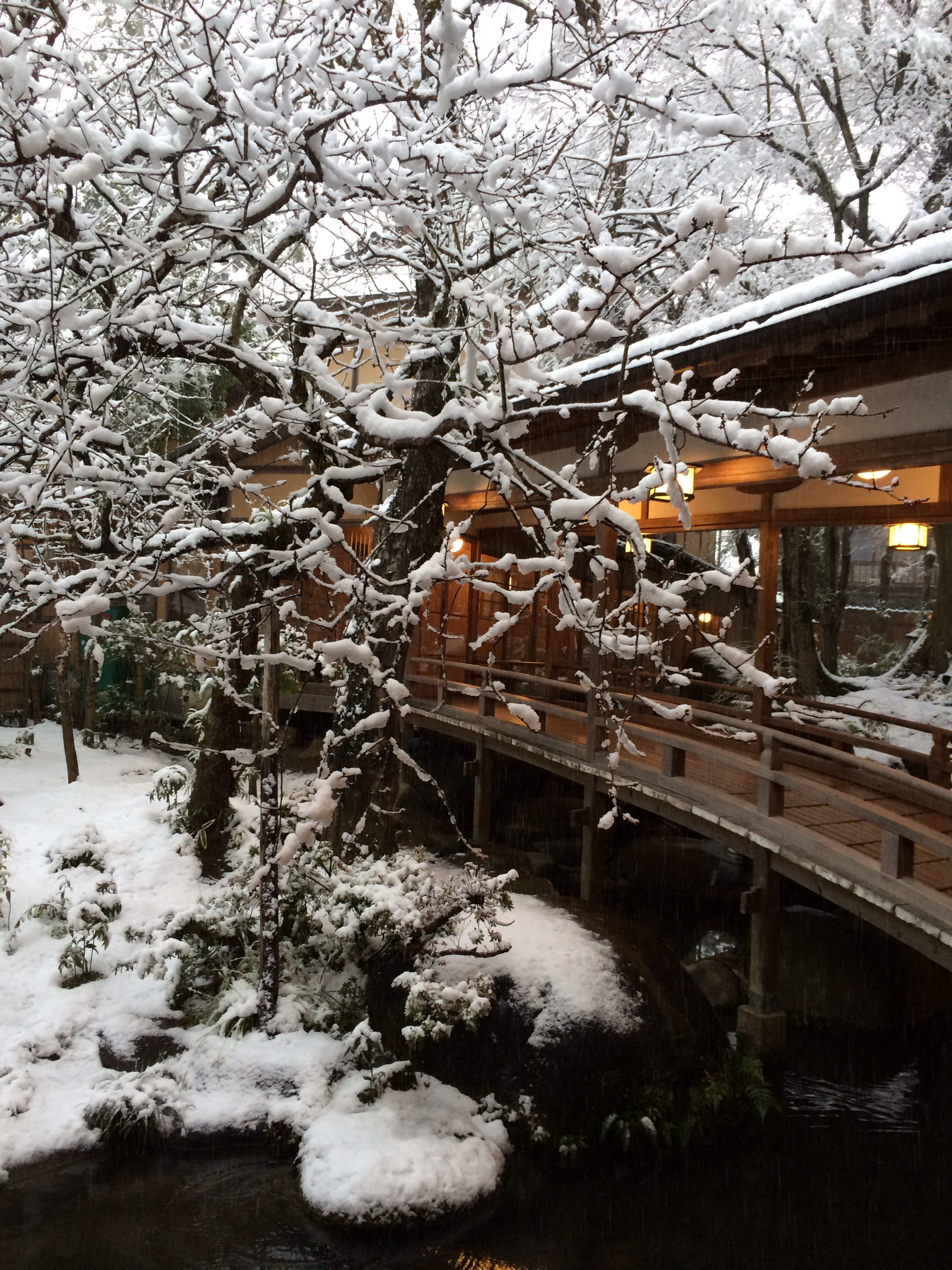 雪の新井旅館＠修善寺