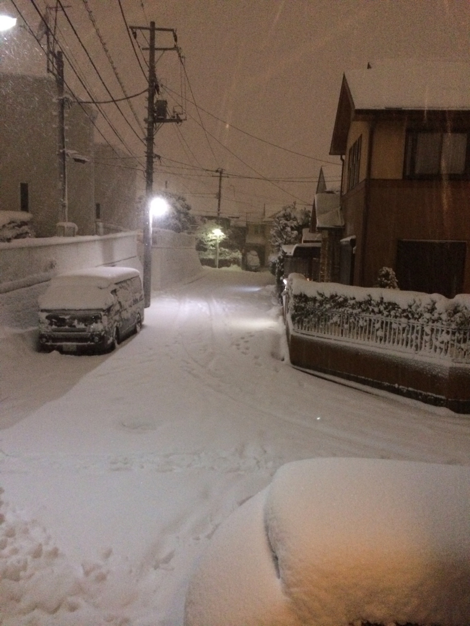 またまた大雪