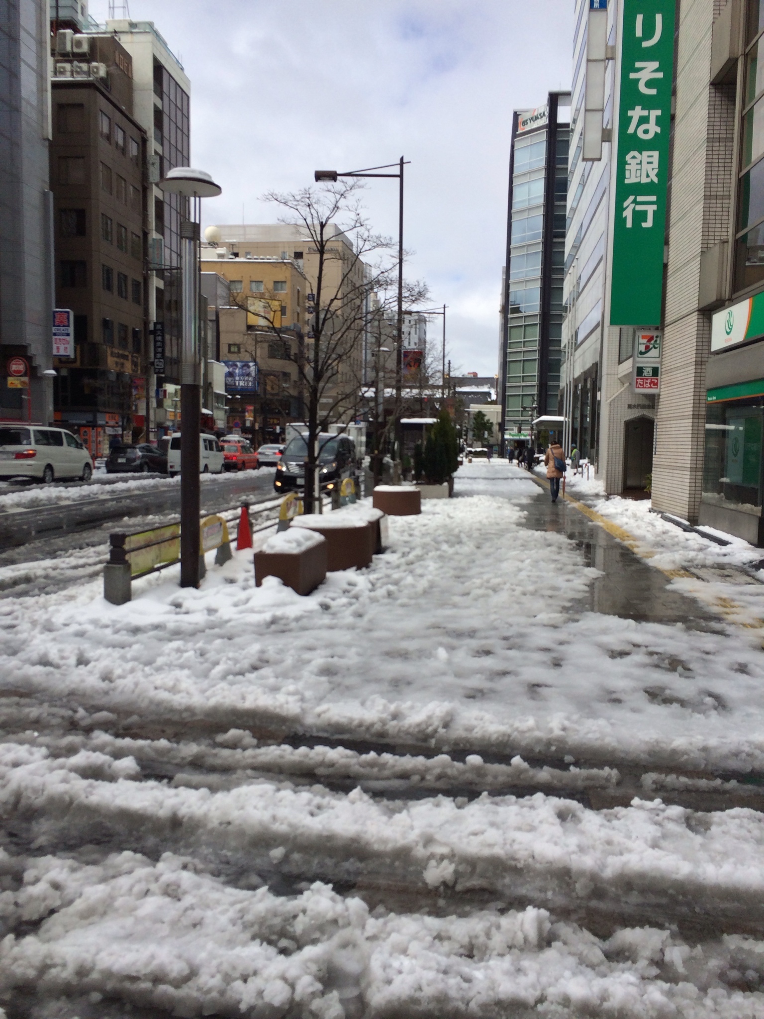 東京も雪だった