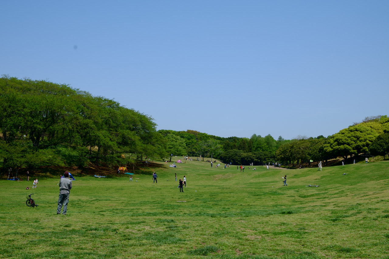 GW:1 根岸森林公園