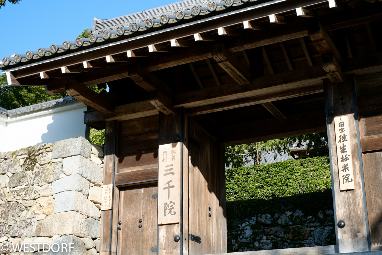 京都隠密旅行