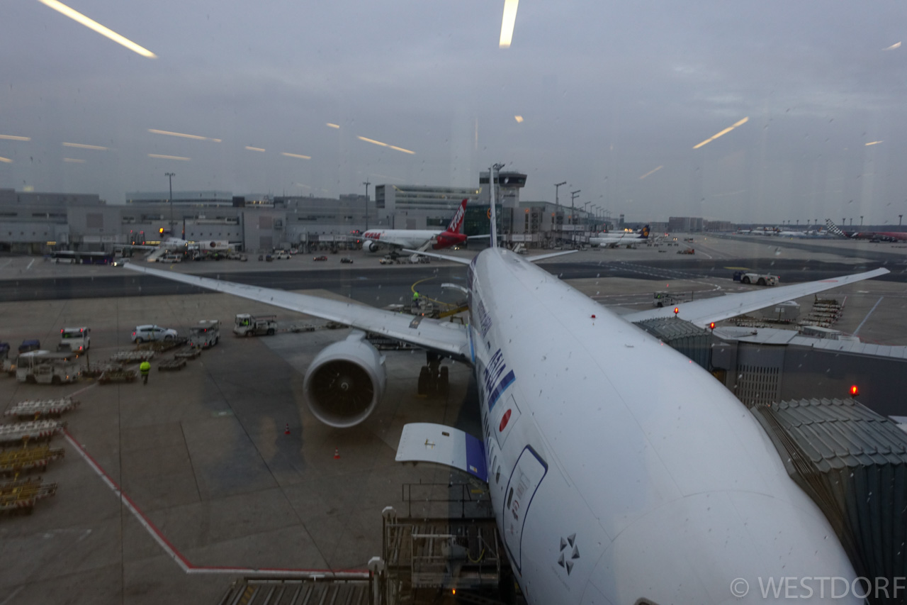 海外29 2014年11月 Frankfurtへ