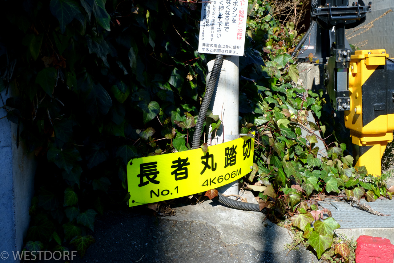 品川區、目黒區、渋谷區を散歩