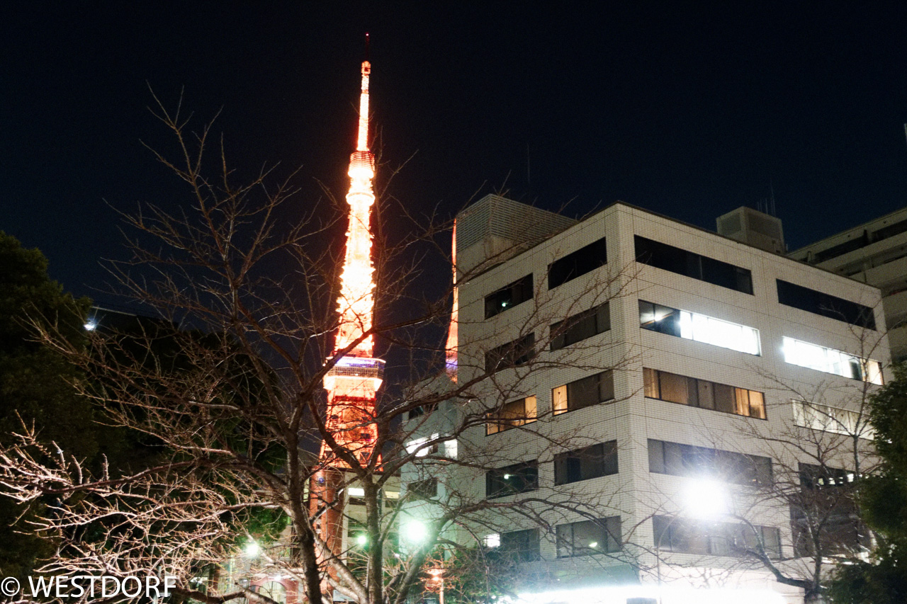 傷心の夜みたい