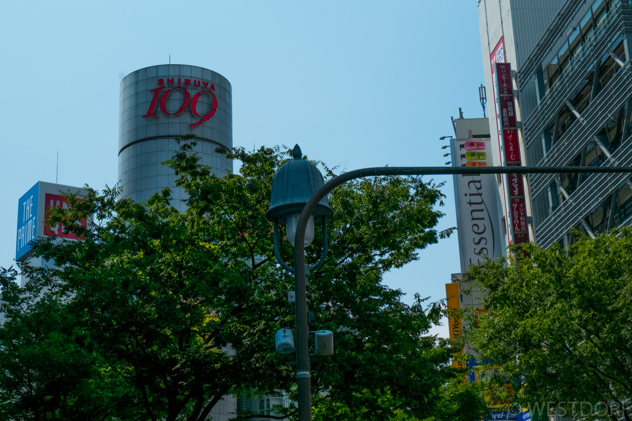 渋谷散歩