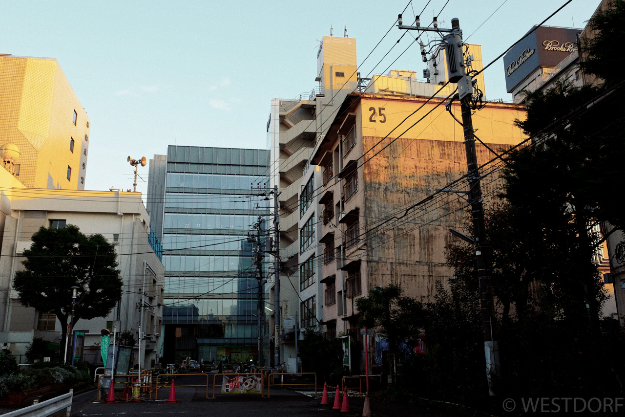 青山を散歩