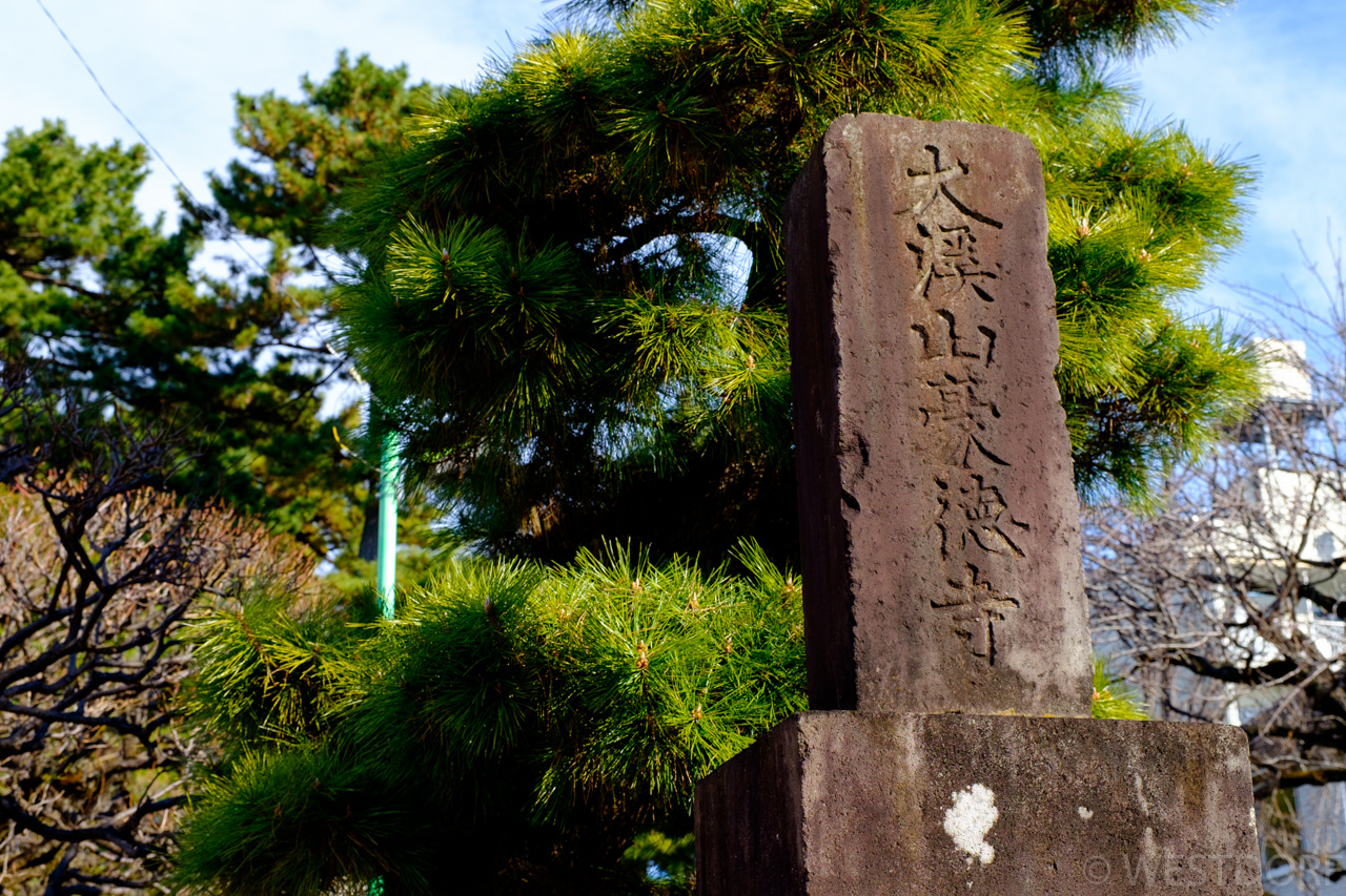 豪徳寺と世田谷八幡宮