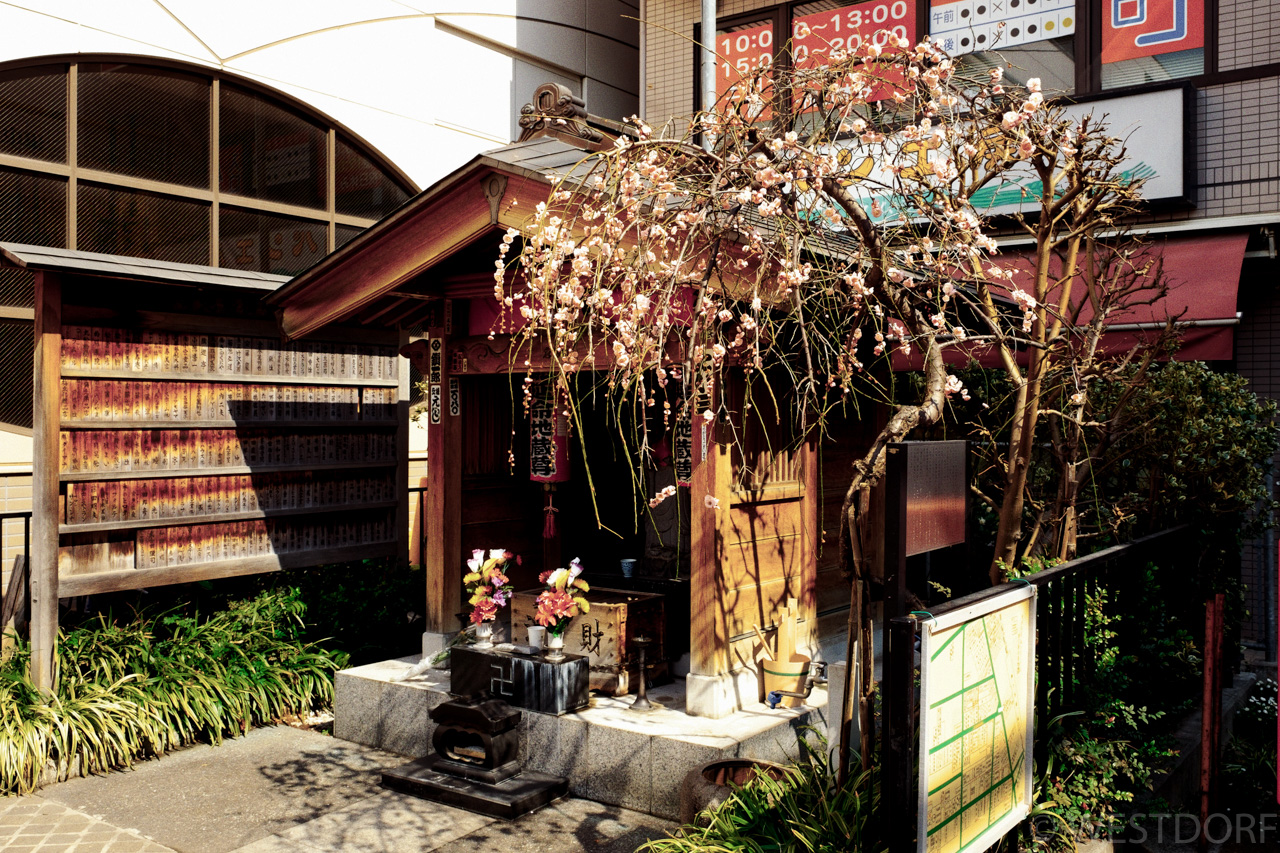三軒茶屋から梅が丘を散歩