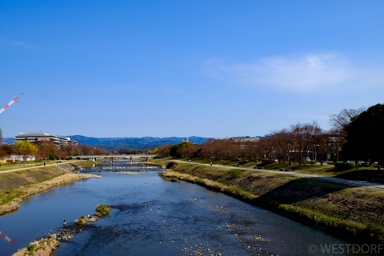 鴨川の朝