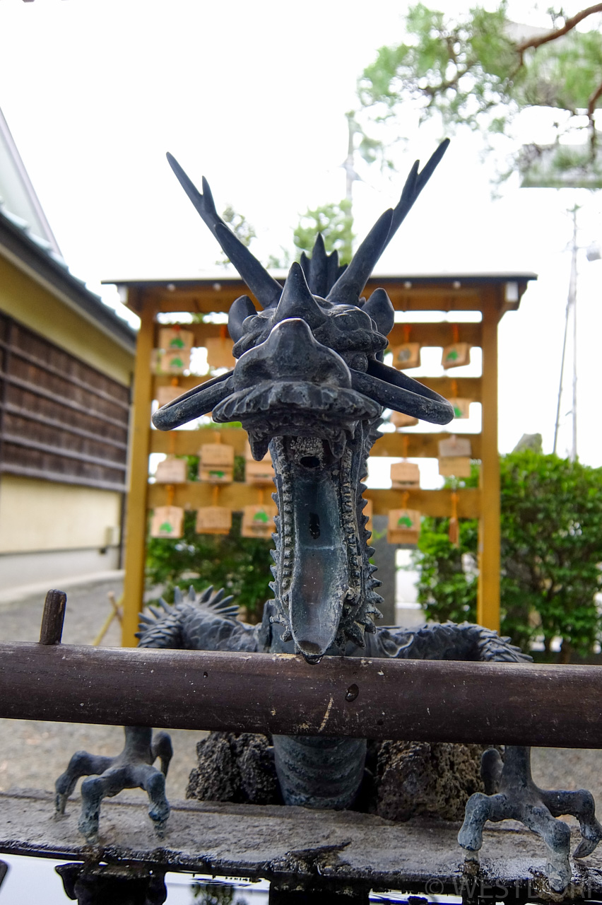近所を散歩