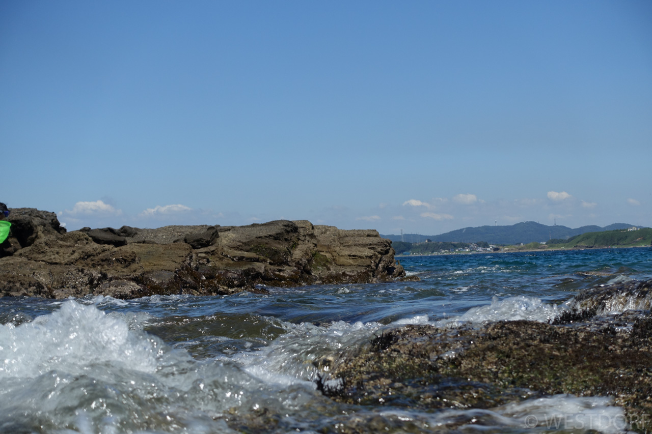 油壺