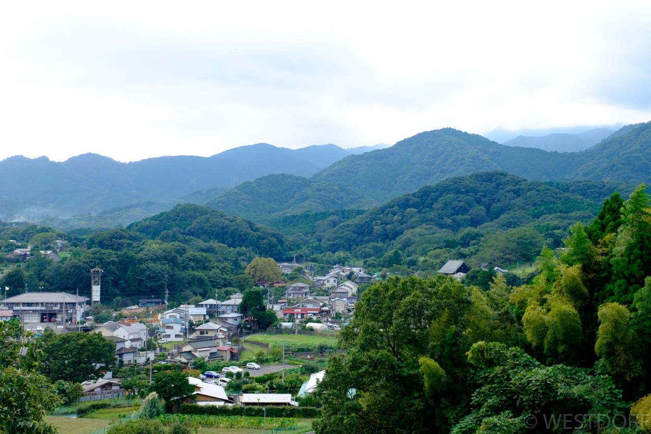 七沢森林公園