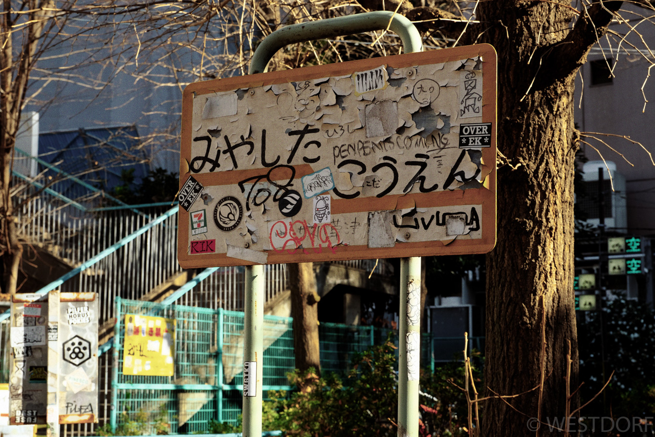 澁谷區の正月を散歩