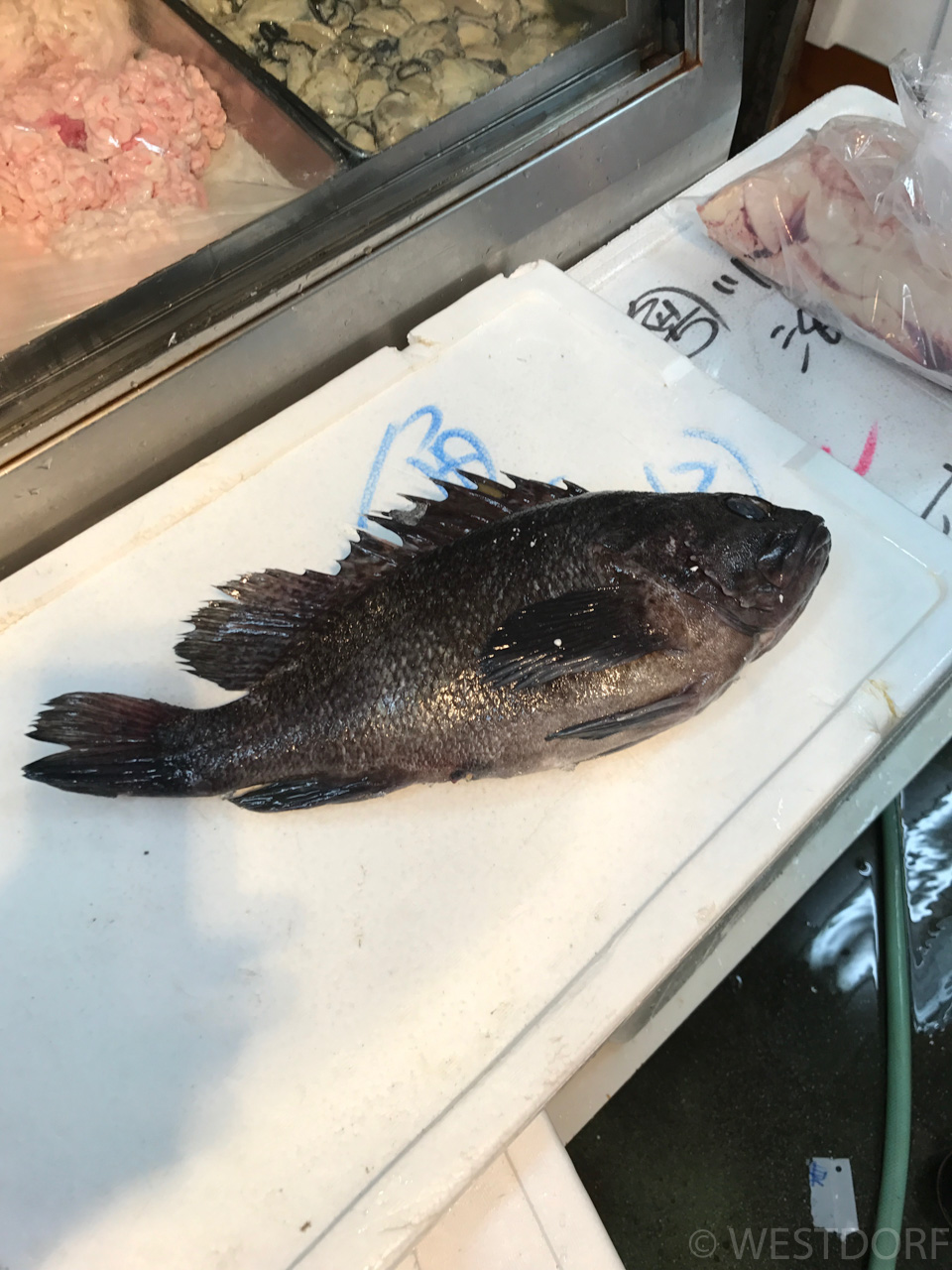 まずぅ〜くない