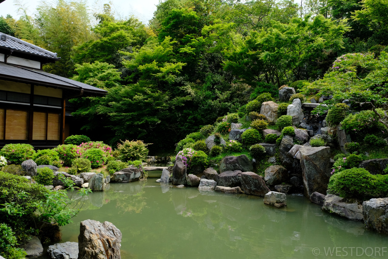 京都行ったとこ