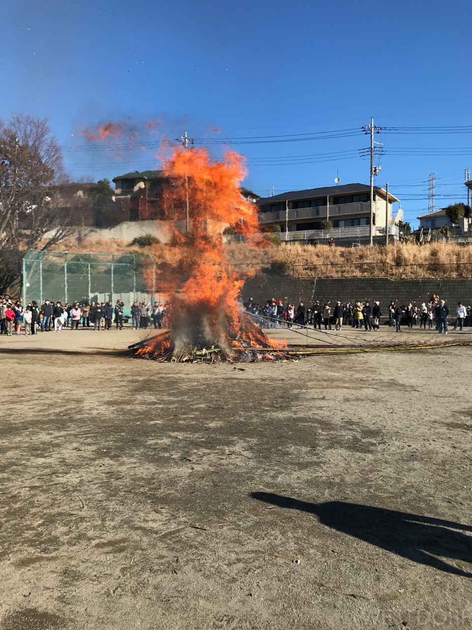 どんと焼き