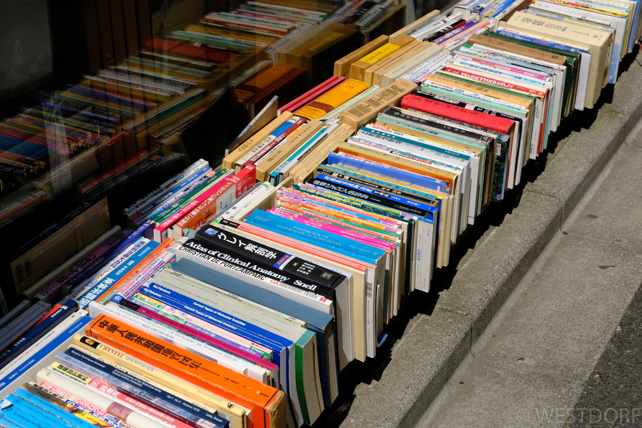 春の古本祭、しょぼかった