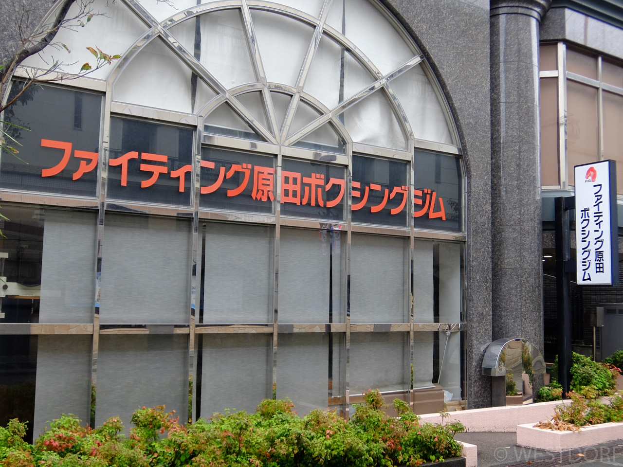 近所を散歩