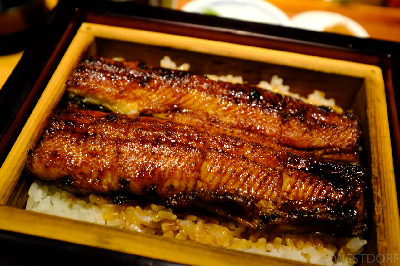 鰻