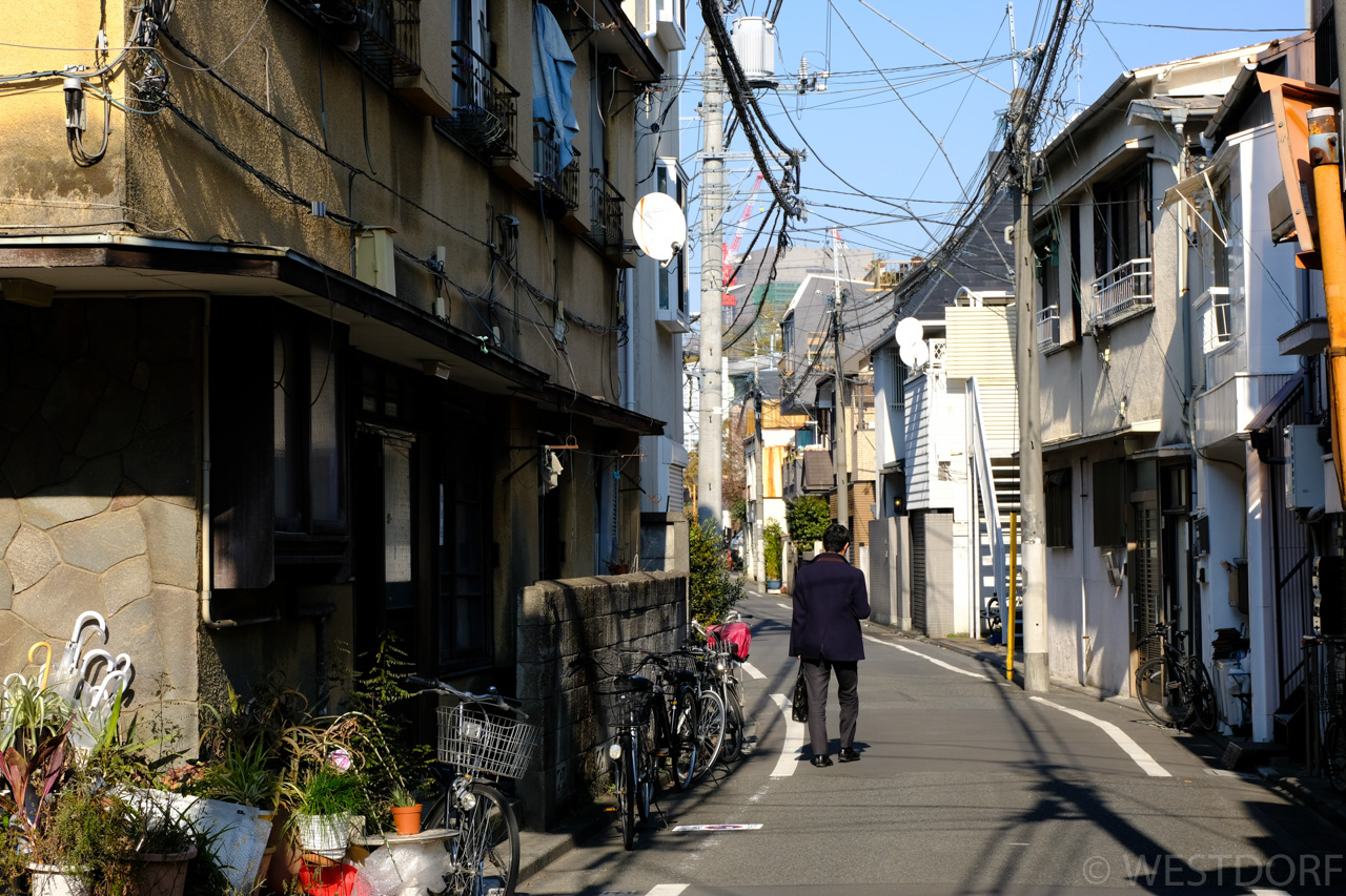 目黒區、澁谷區、麻布區を散歩