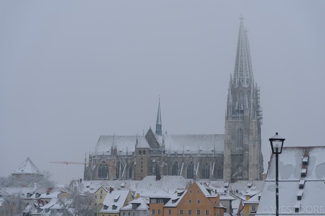 海外39 2019年2月 Dom St Peter@Regensburg