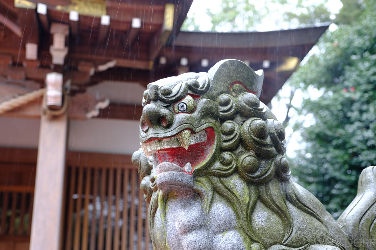 近所の神社