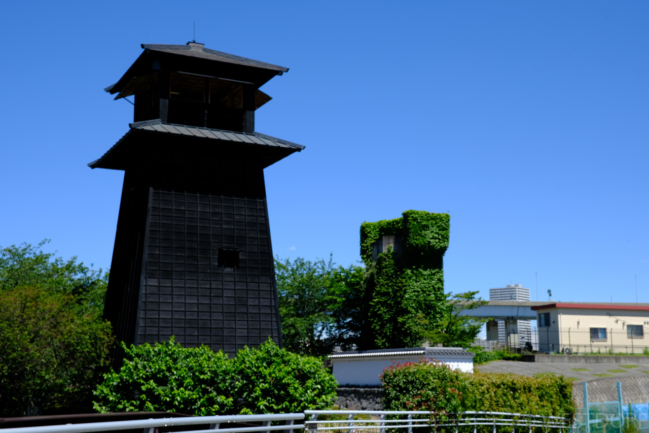 江戸川區を散歩