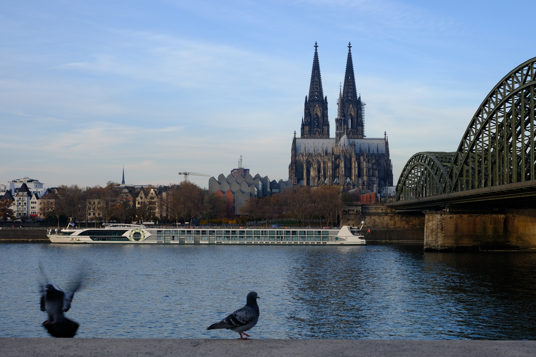 海外42 2019年11月Köln