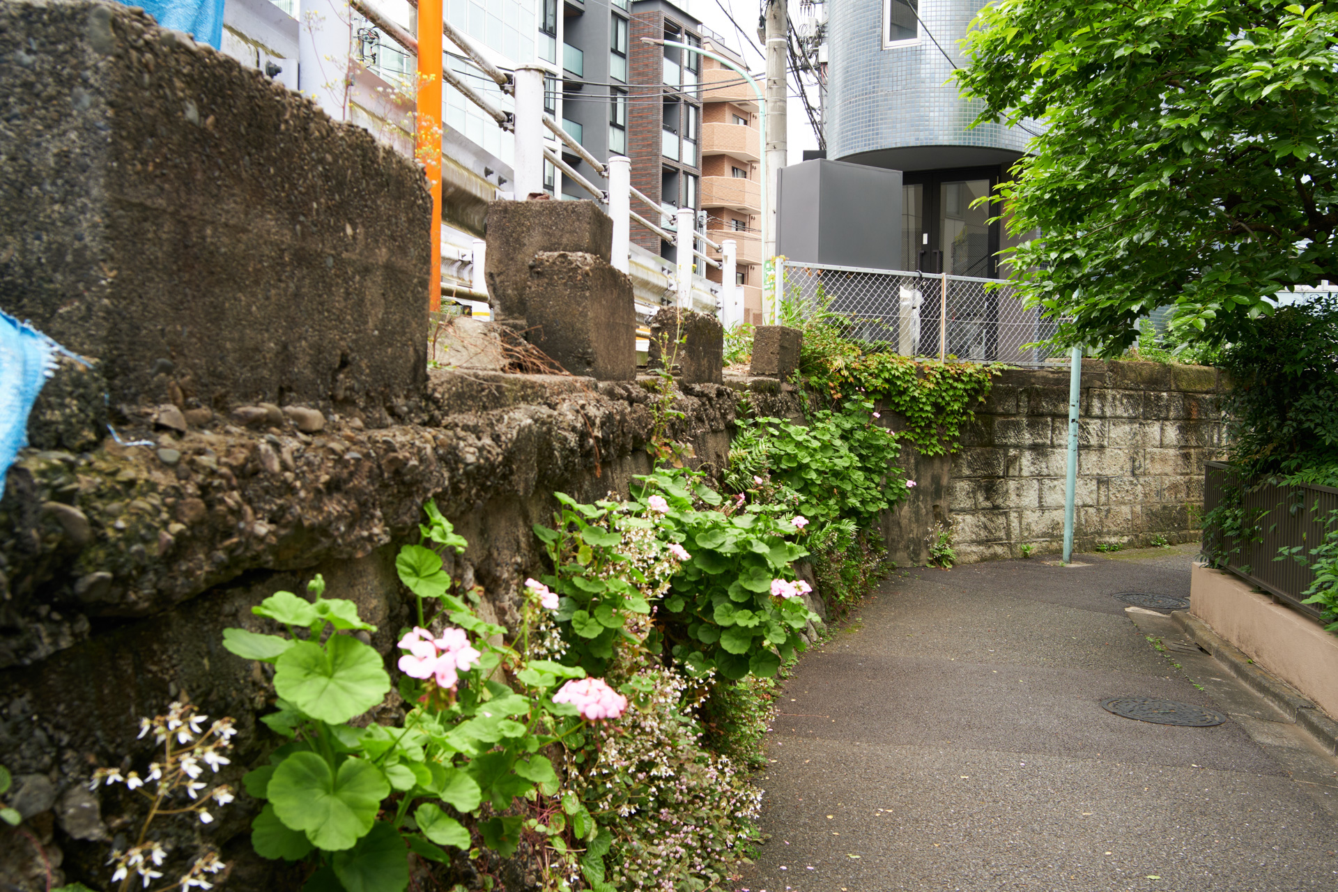 玉川上水原宿村分水(新宿〜渋谷)