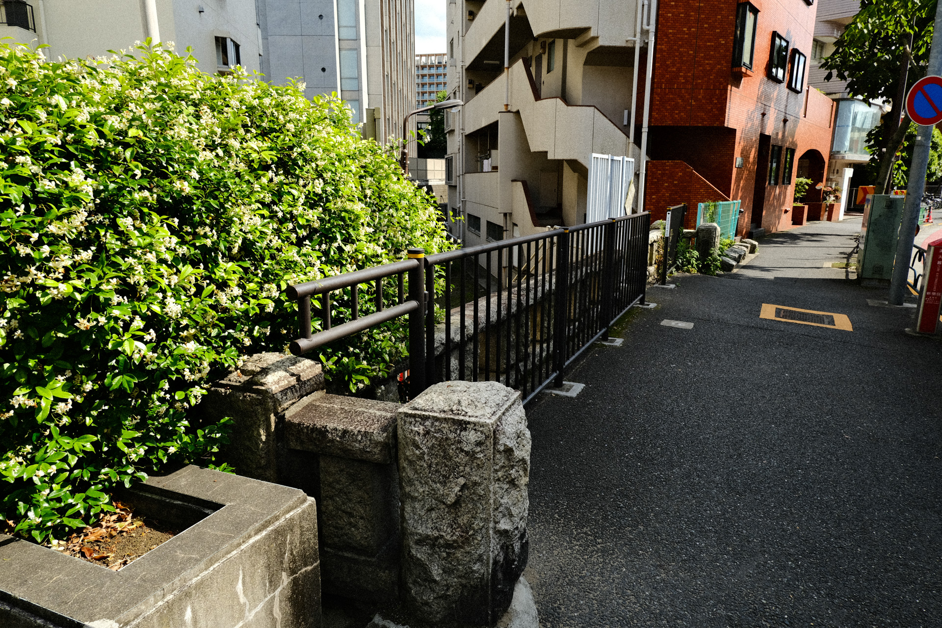 渋谷川(新宿〜神宮前)