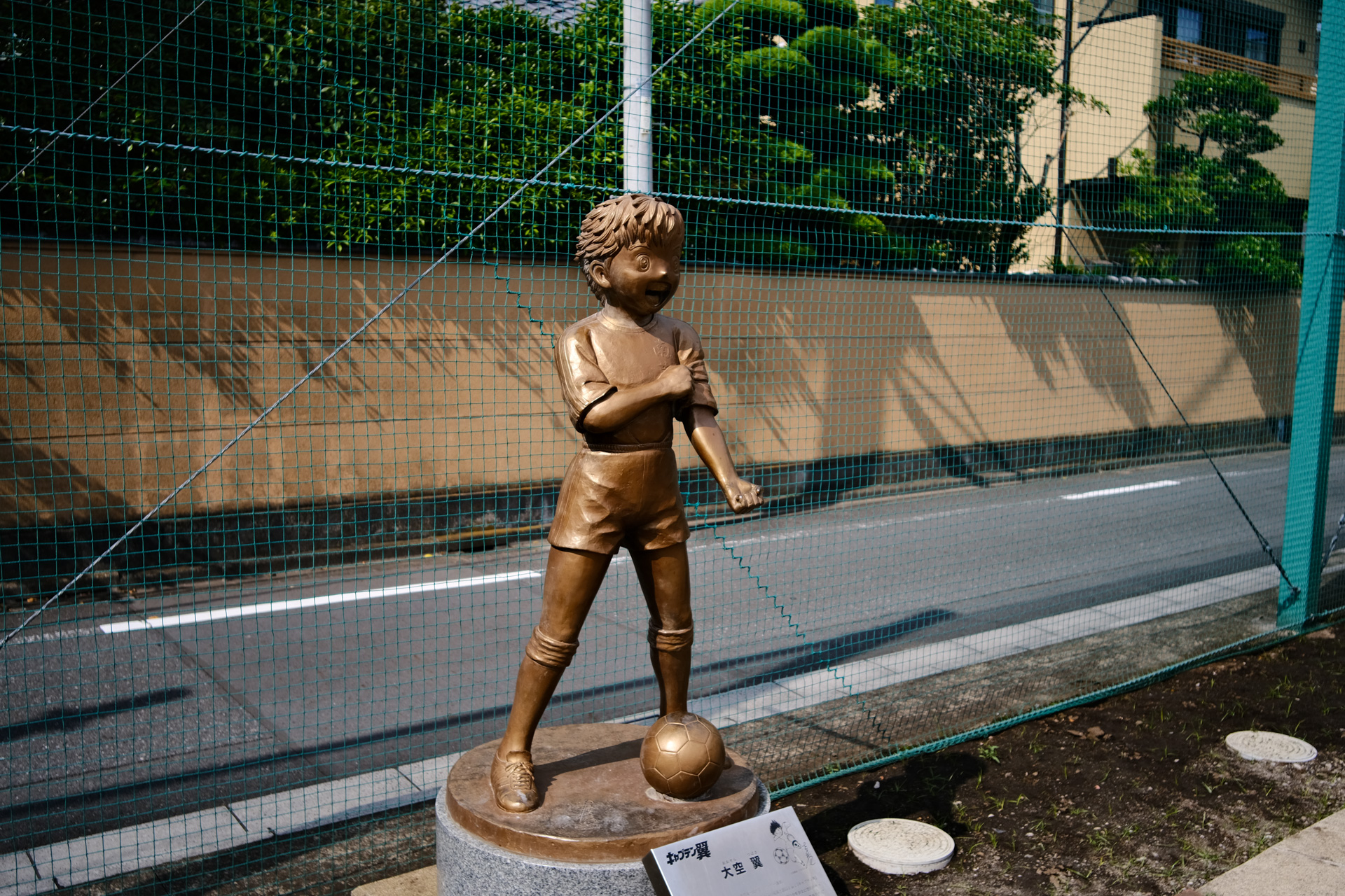 葛飾區の本田を散歩