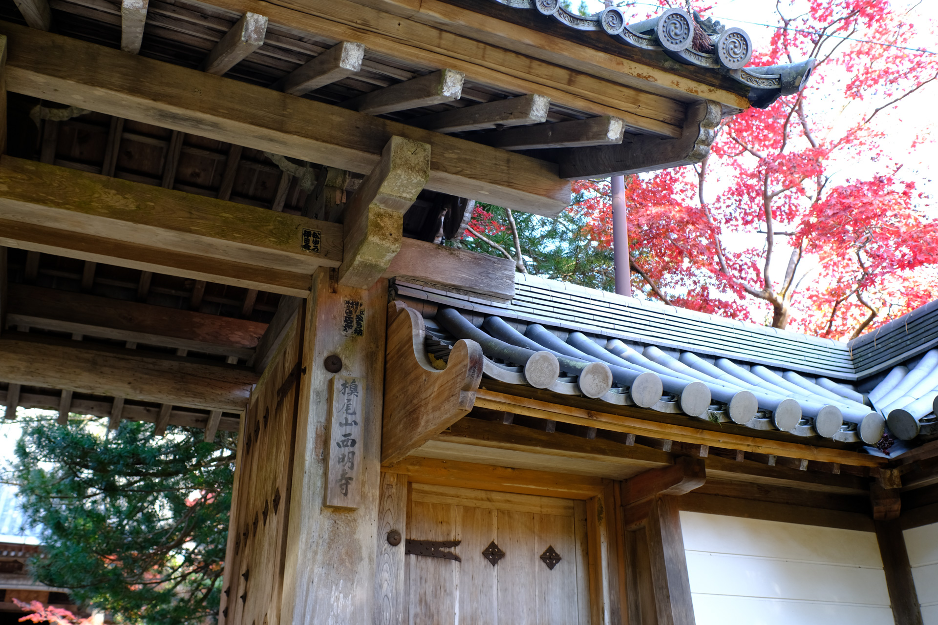「三尾」槙尾の西明寺