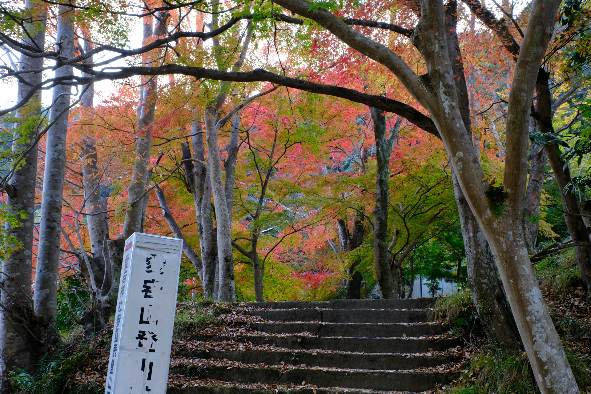 清滝(この後友達に会った)