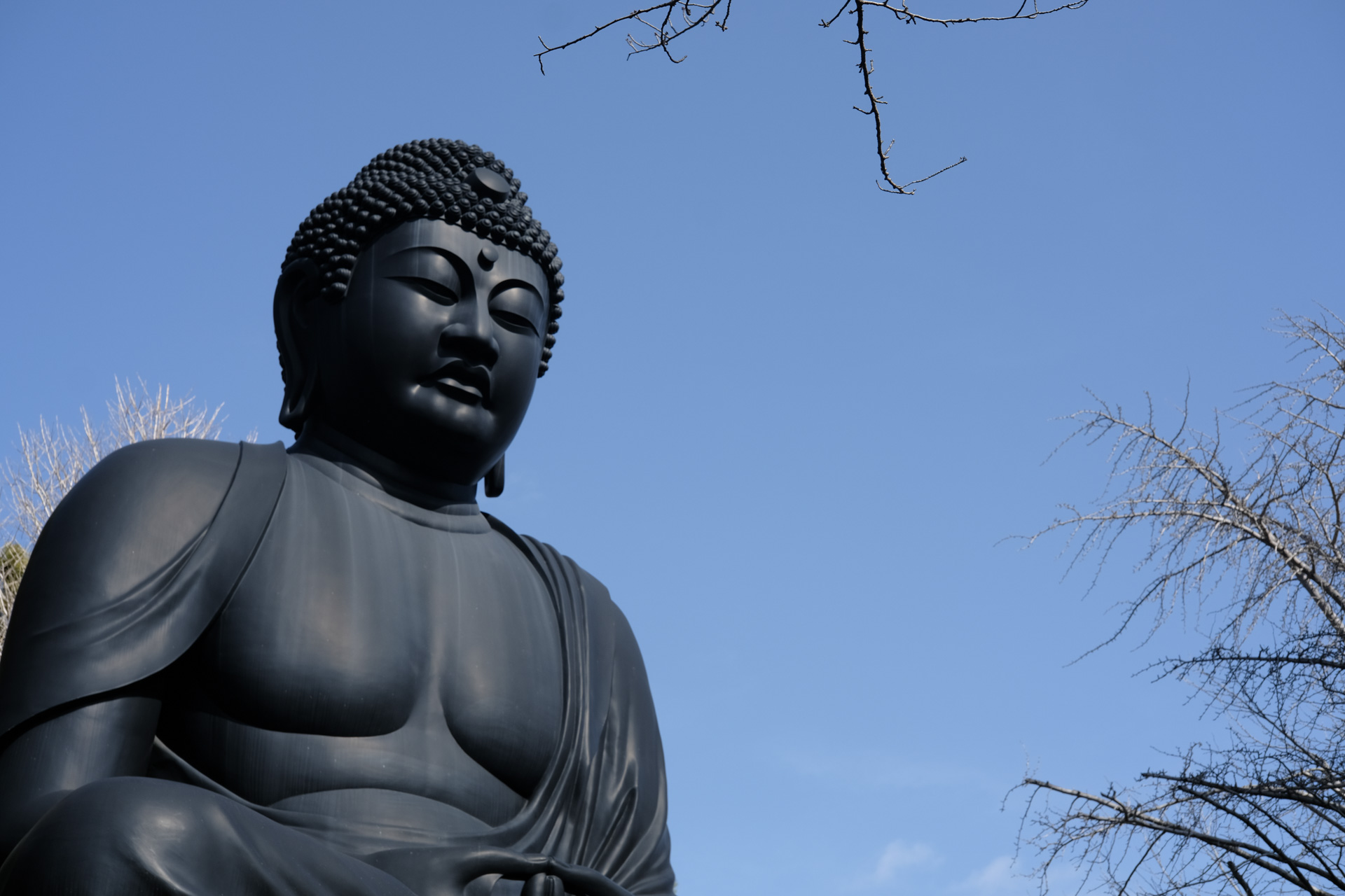 板橋區赤塚あたりを散歩