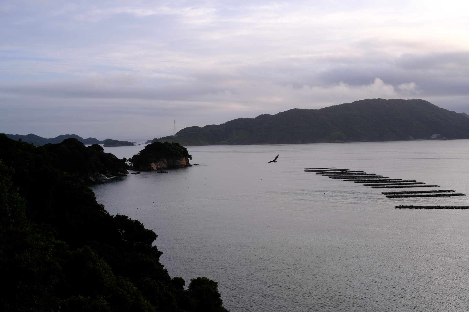 鳥羽の海