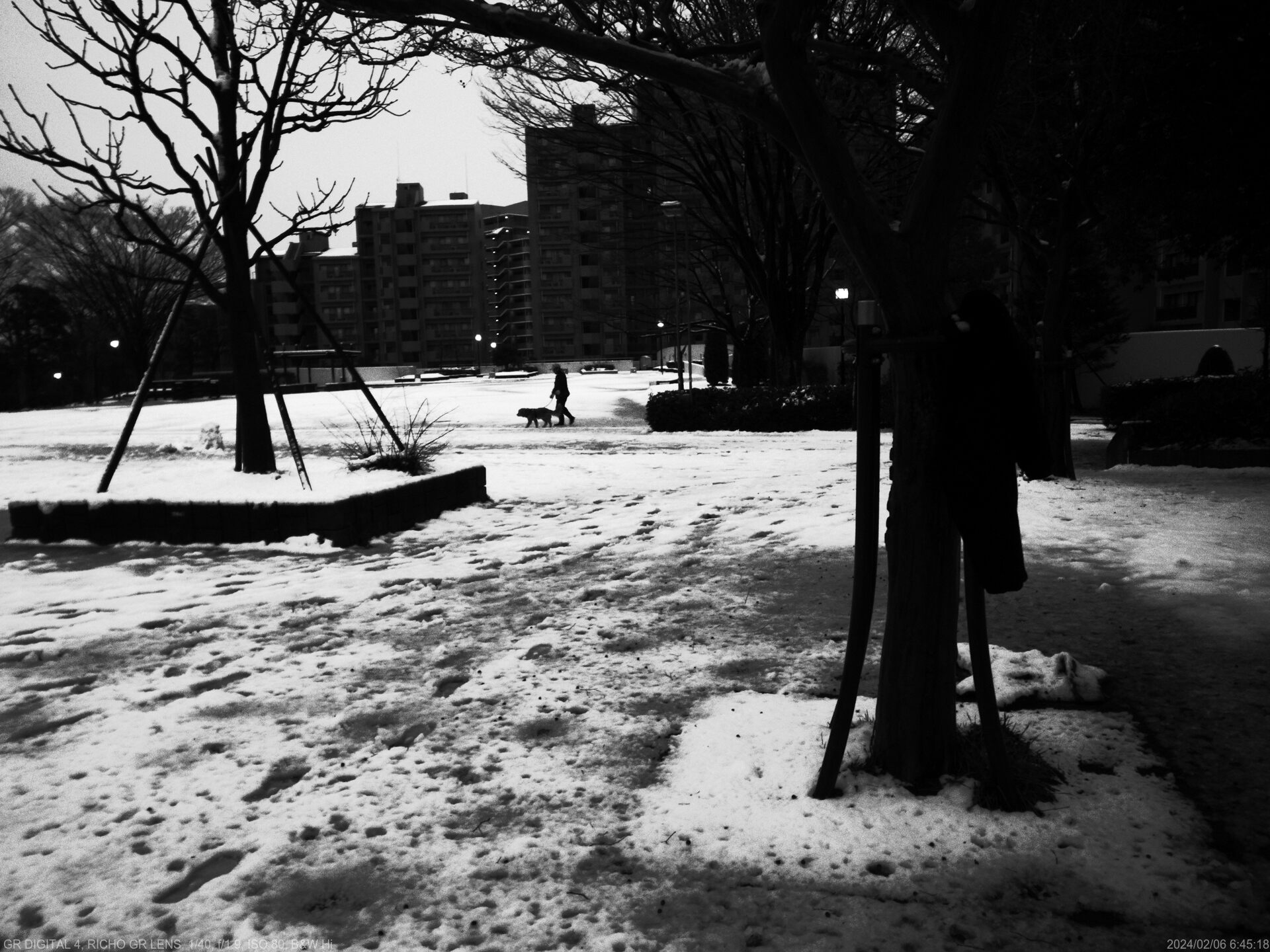 雪の朝
